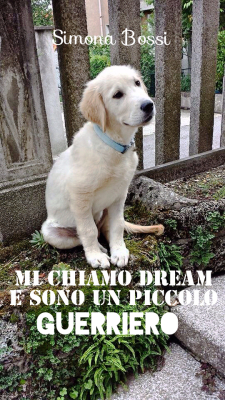 ccopertina dream